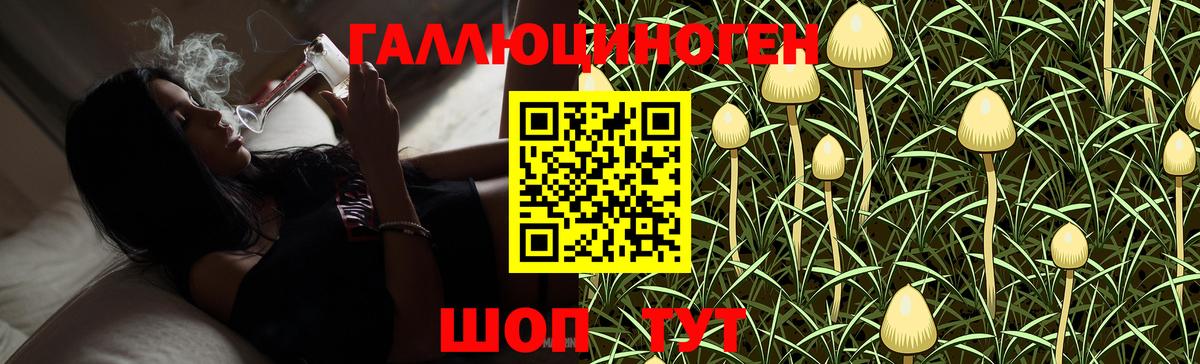 Белогорск  Галлюциногенные грибы Psilocybe  Вход с VPN 